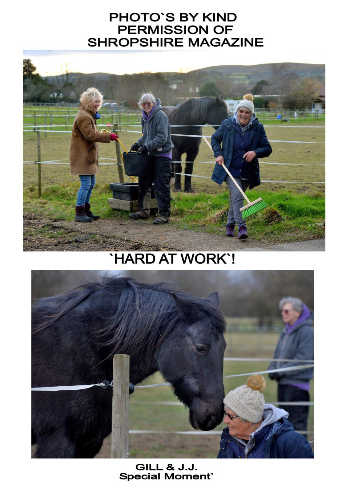 the way of the medicine horse course at Broadmeadow Holistic centre