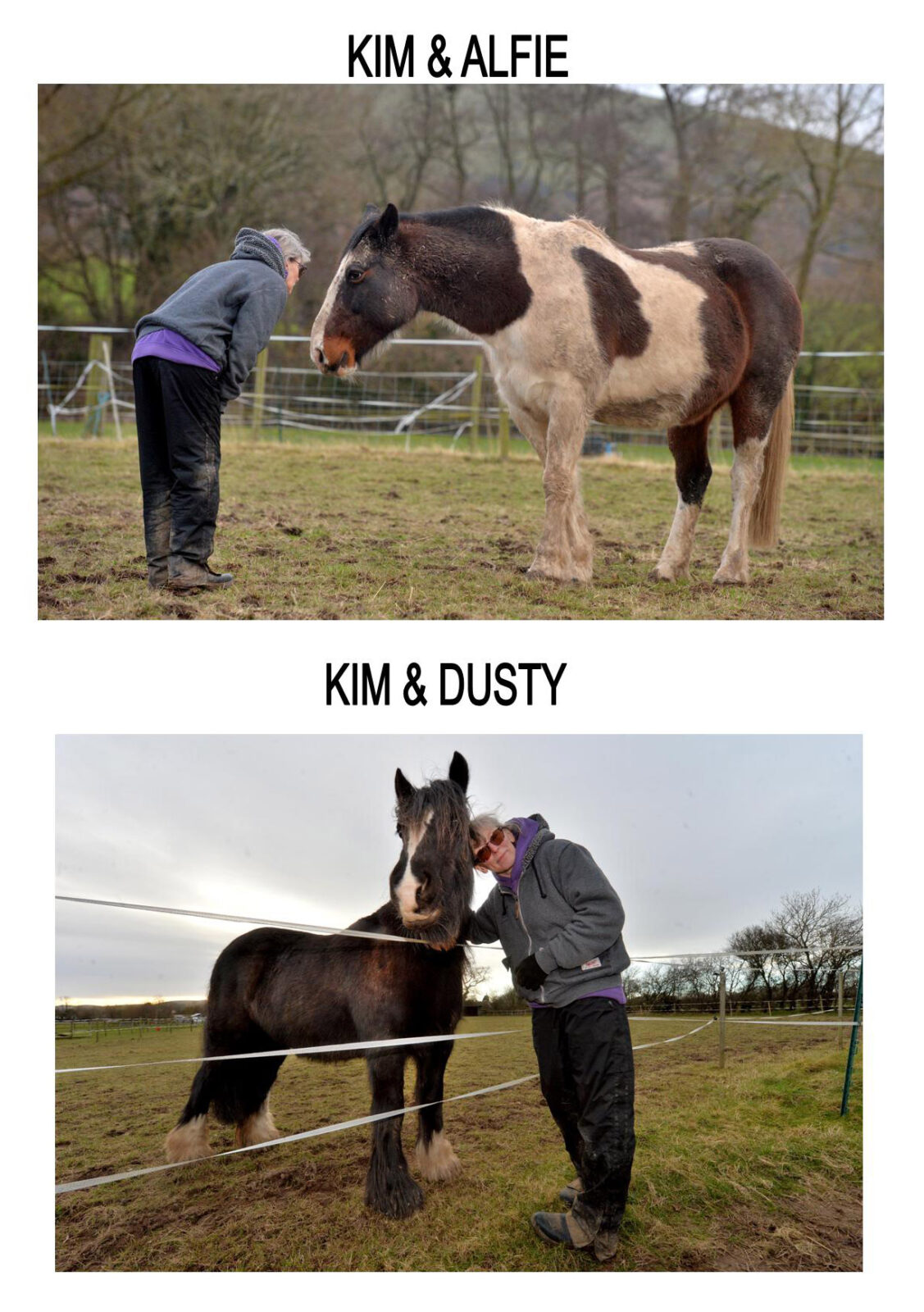 the way of the medicine horse course at Broadmeadow Holistic centre